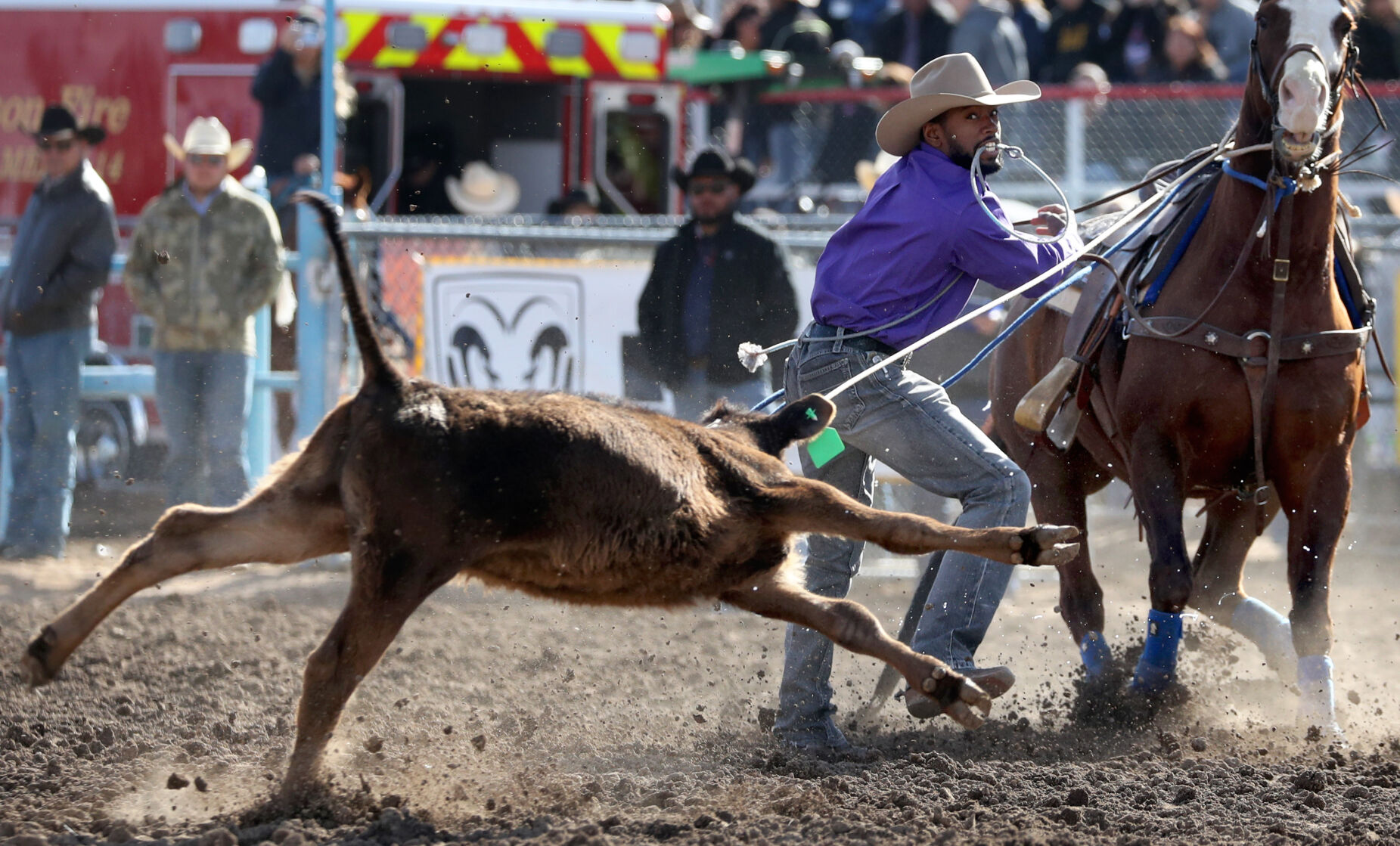 Fiesta de los Vaqueros Tucson Rodeo
